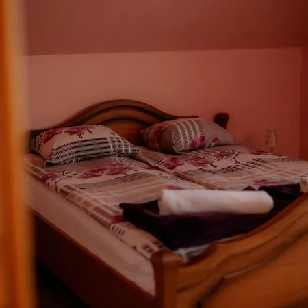 Vilki Holiday home
